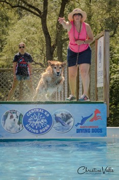 Dock DIving-porterwebsite.webp