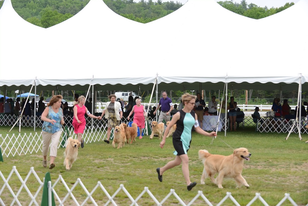 SPecialty Show (2).webp